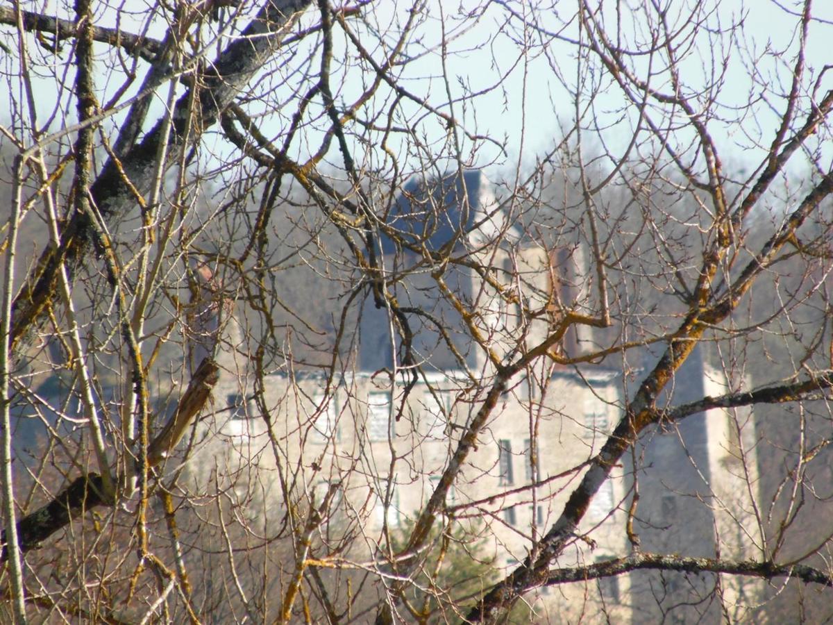 Gite Et Chambres D'Hotes Les Terrasses De Gaumier Gaumiers Exteriér fotografie